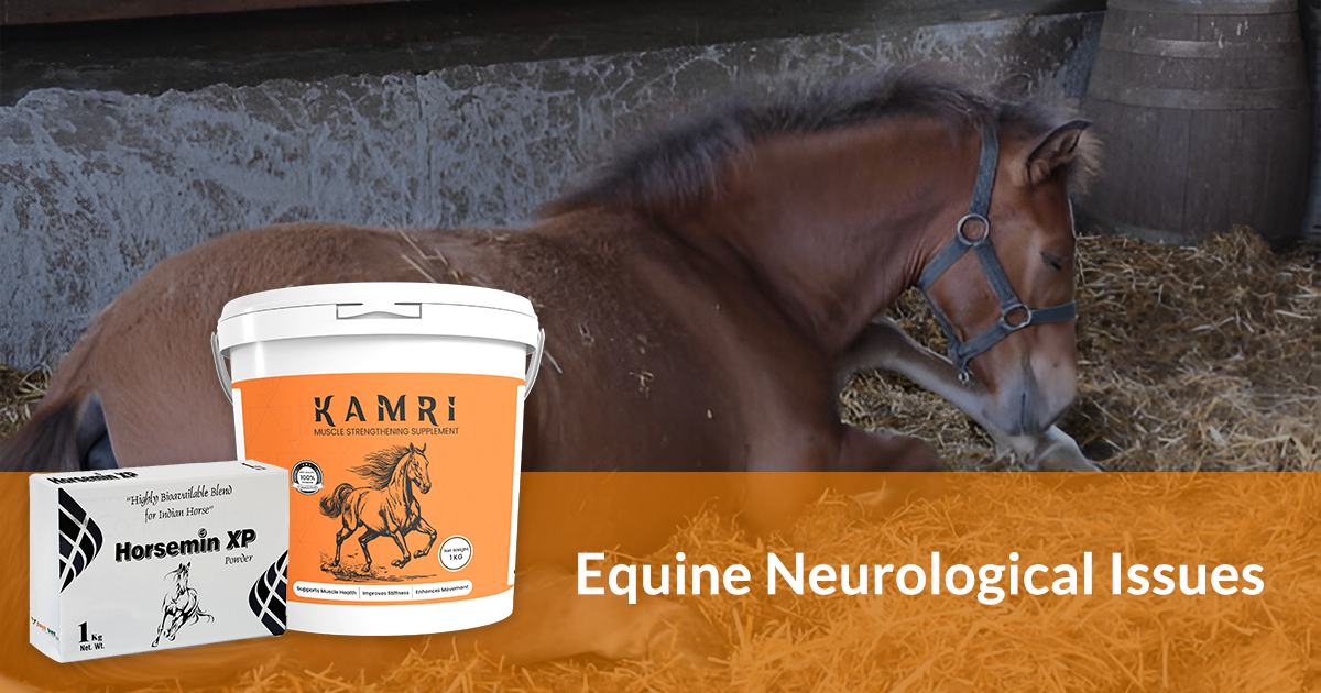 Equine Neurological Issues: When Horses Circle & Lose Hind End Strength